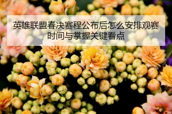 英雄联盟春决赛程公布后怎么安排观赛时间与掌握关键看点