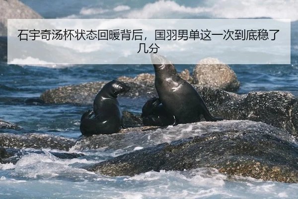 石宇奇汤杯状态回暖背后,国羽男单这一次到底稳了几分